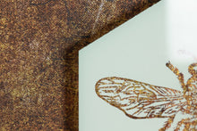 Charger l'image dans la visionneuse de la galerie, abeille hexagonale