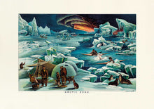 Charger l&#39;image dans la visionneuse de la galerie, Arctic Zone
