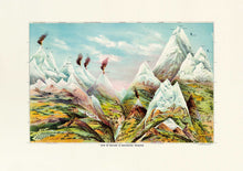 Charger l&#39;image dans la visionneuse de la galerie, Nature in Ascending regions
