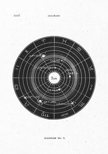 Solar Biology No4