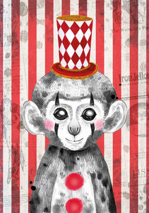 Mono circo