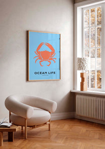 Ocean Life: Crab