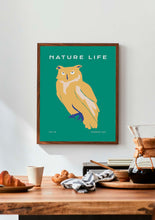 Charger l&#39;image dans la visionneuse de la galerie, Nature Life: Owl
