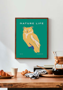 Nature Life: Owl