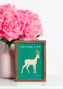 Nature Life: Deer