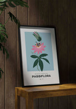 Charger l&#39;image dans la visionneuse de la galerie, Passiflora
