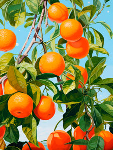 Orange Tree