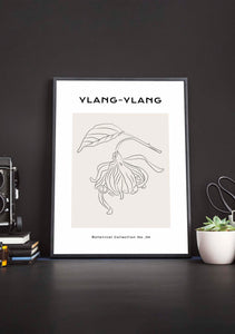 Ylang-Ylang