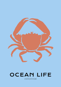 Ocean Life: Crab