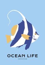 Charger l&#39;image dans la visionneuse de la galerie, Ocean Life: Angel Fish
