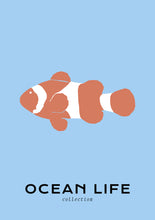 Charger l&#39;image dans la visionneuse de la galerie, Ocean Life: Clownfish
