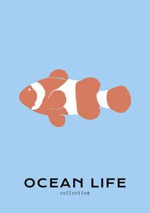 Ocean Life: Clownfish