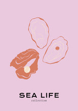 Charger l&#39;image dans la visionneuse de la galerie, Sea Life: Oysters
