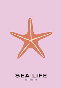 Sea Life: Starfish