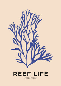 Reef Life: Blue Coral