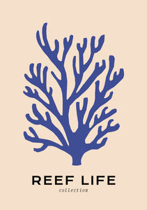Reef Life: Seaweed