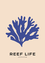 Charger l&#39;image dans la visionneuse de la galerie, Reef Life: Sea Wrack
