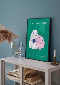 Nature Life: Rabbits