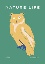 Charger l&#39;image dans la visionneuse de la galerie, Nature Life: Owl
