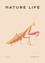 Charger l&#39;image dans la visionneuse de la galerie, Nature Life: Praying Mantis
