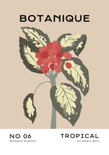 Charger l&#39;image dans la visionneuse de la galerie, Green &amp; red plant
