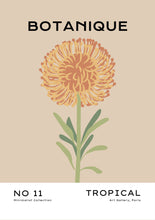 Charger l&#39;image dans la visionneuse de la galerie, Crisantemo
