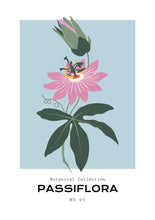 Charger l&#39;image dans la visionneuse de la galerie, Passiflora
