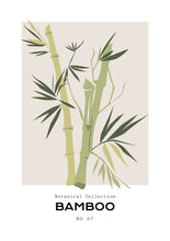 Charger l&#39;image dans la visionneuse de la galerie, Bamboo
