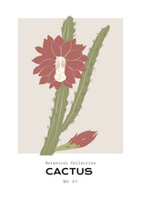Charger l&#39;image dans la visionneuse de la galerie, Cactus

