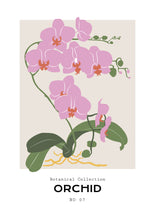 Charger l&#39;image dans la visionneuse de la galerie, Orchid
