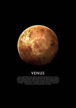 Charger l&#39;image dans la visionneuse de la galerie, Comprar decoracion Venus
