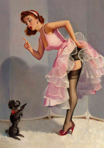 Pin up chien